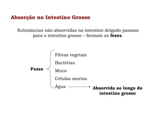 Absorção no Intestino Grosso
Substâncias não absorvidas no intestino delgado passam
para o intestino grosso – formam as fezes.

Fibras vegetais
Bactérias
Fezes

Muco
Células mortas
Água

Absorvida ao longo do
intestino grosso

 