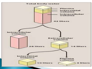 Absorption and distribution of drugs | PPTX
