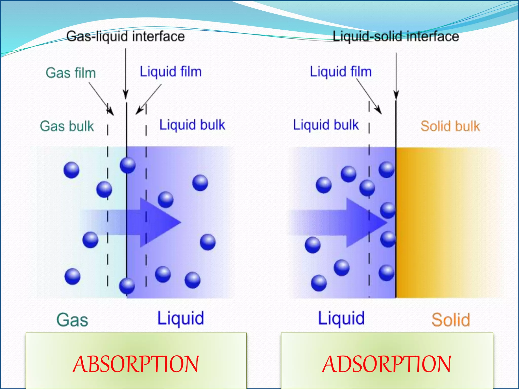 Absorption and Adsorption | PPTX