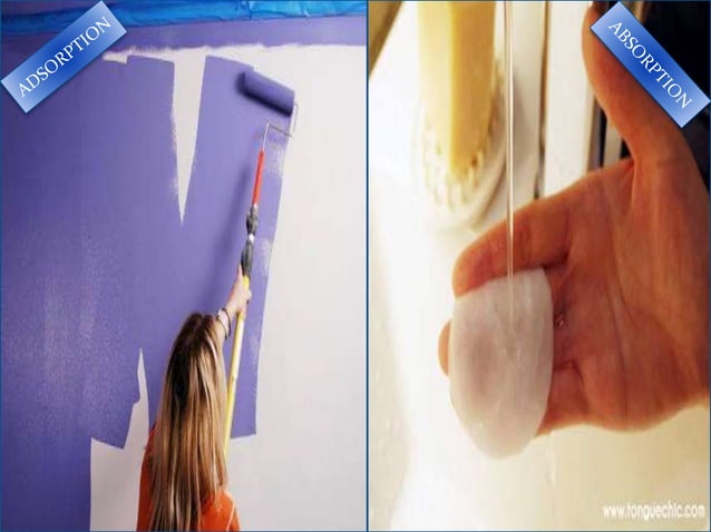 Absorption and Adsorption | PPTX