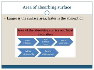 Area of absorbing surface
 Larger is the surface area, faster is the absorption.
 