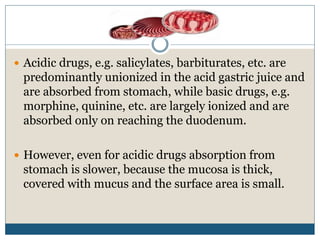  Acidic drugs, e.g. salicylates, barbiturates, etc. are
predominantly unionized in the acid gastric juice and
are absorbed from stomach, while basic drugs, e.g.
morphine, quinine, etc. are largely ionized and are
absorbed only on reaching the duodenum.
 However, even for acidic drugs absorption from
stomach is slower, because the mucosa is thick,
covered with mucus and the surface area is small.
 