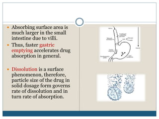  Absorbing surface area is
much larger in the small
intestine due to villi.
 Thus, faster gastric
emptying accelerates drug
absorption in general.
 Dissolution is a surface
phenomenon, therefore,
particle size of the drug in
solid dosage form governs
rate of dissolution and in
turn rate of absorption.
 