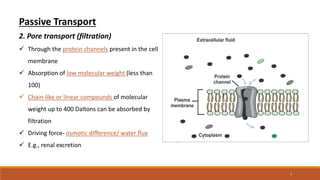Absorption.pptx