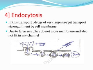 4] Endocytosis
 In this transport , drugs of very large size get transport
via engulfment by cell membrane
 Due to large size ,they do not cross membrane and also
not fit in any channel
 