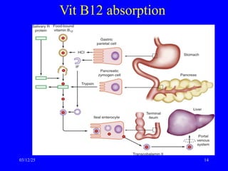 Vit B12 absorption
03/12/25 14
 