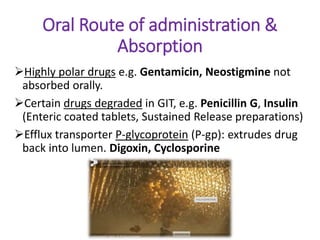 Absorption & Distribution.pptx