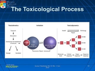 MKA2009© 1010
The Toxicological Process
25/05/201025/05/2010
Kursus Toksikologi IKU 31 Mei - 4 JunKursus Toksikologi IKU 31 Mei - 4 Jun
20102010
 