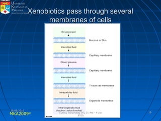 MKA2009© 1515
Xenobiotics pass through severalXenobiotics pass through several
membranes of cellsmembranes of cells
25/05/201025/05/2010
Kursus Toksikologi IKU 31 Mei - 4 JunKursus Toksikologi IKU 31 Mei - 4 Jun
20102010
 