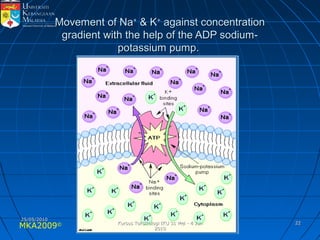 MKA2009© 2222
Movement of NaMovement of Na++
& K& K++
against concentrationagainst concentration
gradient with the help of the ADP sodium-gradient with the help of the ADP sodium-
potassium pump.potassium pump.
25/05/201025/05/2010
Kursus Toksikologi IKU 31 Mei - 4 JunKursus Toksikologi IKU 31 Mei - 4 Jun
20102010
 