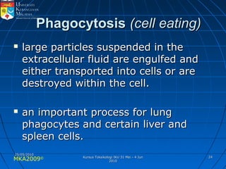 MKA2009© 2424
PhagocytosisPhagocytosis (cell eating)(cell eating)
 large particles suspended in thelarge particles suspended in the
extracellular fluid are engulfed andextracellular fluid are engulfed and
either transported into cells or areeither transported into cells or are
destroyed within the cell.destroyed within the cell.
 an important process for lungan important process for lung
phagocytes and certain liver andphagocytes and certain liver and
spleen cells.spleen cells.
25/05/201025/05/2010
Kursus Toksikologi IKU 31 Mei - 4 JunKursus Toksikologi IKU 31 Mei - 4 Jun
20102010
 