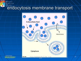 MKA2009© 2525
endocytosis membrane transportendocytosis membrane transport
25/05/201025/05/2010
Kursus Toksikologi IKU 31 Mei - 4 JunKursus Toksikologi IKU 31 Mei - 4 Jun
20102010
 