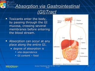 MKA2009© 2727
Absorption via GastrointestinalAbsorption via Gastrointestinal
(GI)Tract(GI)Tract
 Toxicants enter the body,Toxicants enter the body,
by passing through the GIby passing through the GI
mucosa, crossing severalmucosa, crossing several
membranes before enteringmembranes before entering
the blood stream.the blood stream.
 Absorption can occur at anyAbsorption can occur at any
place along the entire GI.place along the entire GI.
• degree of absorption isdegree of absorption is
 site-dependencesite-dependence
 GI content – foodGI content – food
25/05/201025/05/2010 Kursus Toksikologi IKU 31 Mei - 4 JunKursus Toksikologi IKU 31 Mei - 4 Jun
20102010
 