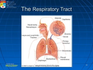 MKA2009© 3434
TheThe Respiratory TractRespiratory Tract
25/05/201025/05/2010
Kursus Toksikologi IKU 31 Mei - 4 JunKursus Toksikologi IKU 31 Mei - 4 Jun
20102010
 