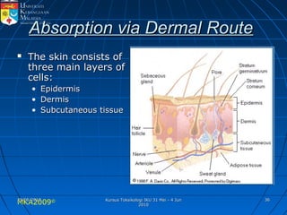 MKA2009© 3636
Absorption via Dermal RouteAbsorption via Dermal Route
 The skin consists ofThe skin consists of
three main layers ofthree main layers of
cells:cells:
• EpidermisEpidermis
• DermisDermis
• Subcutaneous tissueSubcutaneous tissue
25/05/201025/05/2010 Kursus Toksikologi IKU 31 Mei - 4 JunKursus Toksikologi IKU 31 Mei - 4 Jun
20102010
 