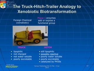 MKA2009© 5757
The Truck-Hitch-Trailer Analogy toThe Truck-Hitch-Trailer Analogy to
Xenobiotic BiotransformationXenobiotic Biotransformation
Phase 1 enzymes
add or expose a
functional group
HITCH
• still lipophilic
• possibly reactive
• poorly water soluble
• poorly excretable
• catalyzed by P450s
Foreign Chemical
(xenobiotic)
TRUCK
• lipophilic
• not charged
• not water soluble
• poorly excretable
25/05/201025/05/2010
Kursus Toksikologi IKU 31 Mei - 4 JunKursus Toksikologi IKU 31 Mei - 4 Jun
20102010
 