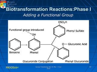 MKA2009© 6060
Biotransformation Reactions:Phase I
Adding a Functional Group
25/05/201025/05/2010 Kursus Toksikologi IKU 31 Mei - 4 JunKursus Toksikologi IKU 31 Mei - 4 Jun
20102010
 