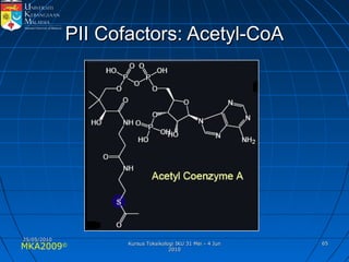 MKA2009© 6565
PII Cofactors: Acetyl-CoAPII Cofactors: Acetyl-CoA
25/05/201025/05/2010
Kursus Toksikologi IKU 31 Mei - 4 JunKursus Toksikologi IKU 31 Mei - 4 Jun
20102010
 