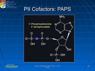 MKA2009© 6666
PII Cofactors: PAPSPII Cofactors: PAPS
25/05/201025/05/2010
Kursus Toksikologi IKU 31 Mei - 4 JunKursus Toksikologi IKU 31 Mei - 4 Jun
20102010
 