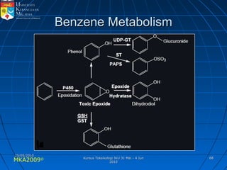 MKA2009© 6868
Benzene MetabolismBenzene Metabolism
25/05/201025/05/2010
Kursus Toksikologi IKU 31 Mei - 4 JunKursus Toksikologi IKU 31 Mei - 4 Jun
20102010
 