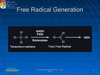 MKA2009© 7171
Free Radical GenerationFree Radical Generation
25/05/201025/05/2010
Kursus Toksikologi IKU 31 Mei - 4 JunKursus Toksikologi IKU 31 Mei - 4 Jun
20102010
 