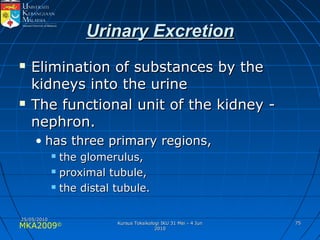 MKA2009© 7575
Urinary ExcretionUrinary Excretion
 Elimination of substances by theElimination of substances by the
kidneys into the urinekidneys into the urine
 The functional unit of the kidney -The functional unit of the kidney -
nephron.nephron.
• has three primary regions,has three primary regions,
 the glomerulus,the glomerulus,
 proximal tubule,proximal tubule,
 the distal tubule.the distal tubule.
25/05/201025/05/2010
Kursus Toksikologi IKU 31 Mei - 4 JunKursus Toksikologi IKU 31 Mei - 4 Jun
20102010
 
