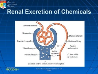 MKA2009© 7777
Renal Excretion of Chemicals
25/05/201025/05/2010
Kursus Toksikologi IKU 31 Mei - 4 JunKursus Toksikologi IKU 31 Mei - 4 Jun
20102010
 