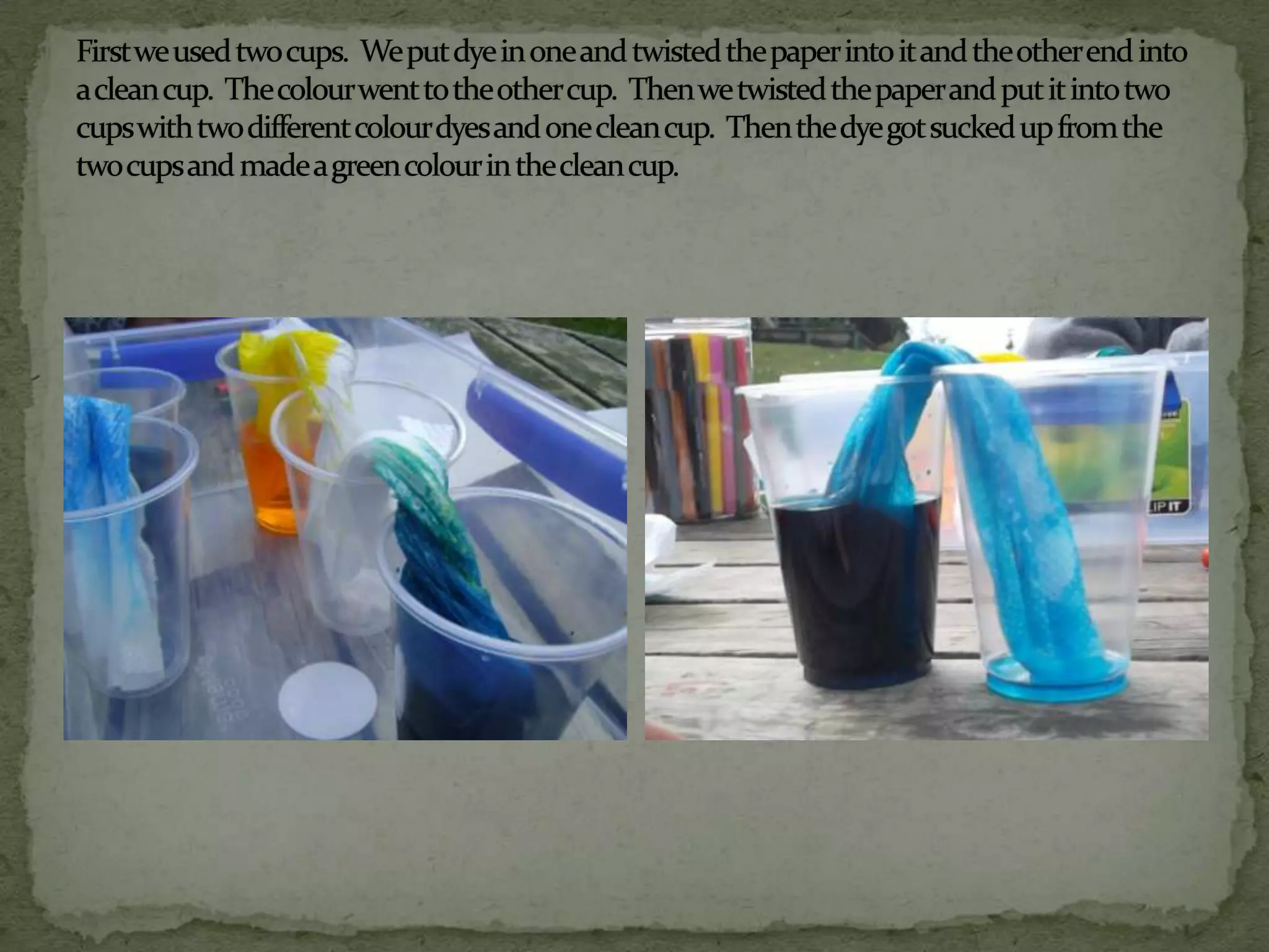 Absorption experiment | PPT