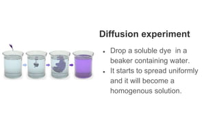 Diffusion experiment
● Drop a soluble dye in a
beaker containing water.
● It starts to spread uniformly
and it will become a
homogenous solution.
 