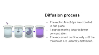Diffusion process
● The molecules of dye are crowded
in one place
● It started moving towards lower
concentration
● The movement continuously until the
molecules are uniformly distributed.
 