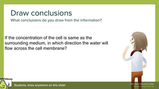 Draw conclusions
What conclusions do you draw from the information?
If the concentration of the cell is same as the
surrounding medium, in which direction the water will
flow across the cell membrane?
 