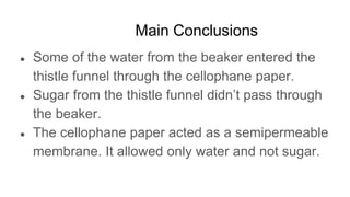Main Conclusions
● Some of the water from the beaker entered the
thistle funnel through the cellophane paper.
● Sugar from the thistle funnel didn’t pass through
the beaker.
● The cellophane paper acted as a semipermeable
membrane. It allowed only water and not sugar.
 