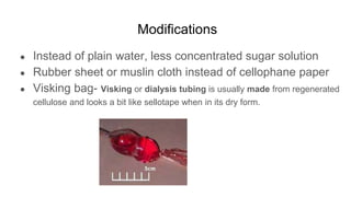 Modifications
● Instead of plain water, less concentrated sugar solution
● Rubber sheet or muslin cloth instead of cellophane paper
● Visking bag- Visking or dialysis tubing is usually made from regenerated
cellulose and looks a bit like sellotape when in its dry form.
 