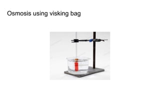 Osmosis using visking bag
 