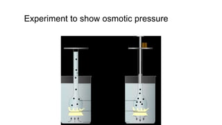 Experiment to show osmotic pressure
 