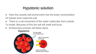 Hypotonic solution
● Here the outside cell environment has the lower concentration
Of solutes than inside the cell.
● There is a net movement of the water molecules from outside
To inside. Because of this the cell will swell and burst.
● Endosmosis process will takes place.
 