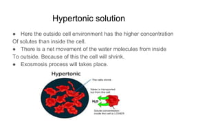 Hypertonic solution
● Here the outside cell environment has the higher concentration
Of solutes than inside the cell.
● There is a net movement of the water molecules from inside
To outside. Because of this the cell will shrink.
● Exosmosis process will takes place.
 