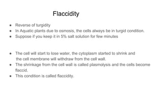 Flaccidity
● Reverse of turgidity
● In Aquatic plants due to osmosis, the cells always be in turgid condition.
● Suppose if you keep it in 5% salt solution for few minutes
● The cell will start to lose water, the cytoplasm started to shrink and
the cell membrane will withdraw from the cell wall.
● The shrinkage from the cell wall is called plasmolysis and the cells become
flaccid.
● This condition is called flaccidity.
 