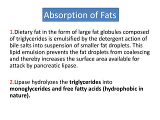 Absorption of Fats
1.Dietary fat in the form of large fat globules composed
of triglycerides is emulsified by the detergent action of
bile salts into suspension of smaller fat droplets. This
lipid emulsion prevents the fat droplets from coalescing
and thereby increases the surface area available for
attack by pancreatic lipase.
2.Lipase hydrolyzes the triglycerides into
monoglycerides and free fatty acids (hydrophobic in
nature).
 