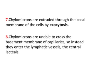 7.Chylomicrons are extruded through the basal
membrane of the cells by exocytosis.
8.Chylomicrons are unable to cross the
basement membrane of capillaries, so instead
they enter the lymphatic vessels, the central
lacteals.
 