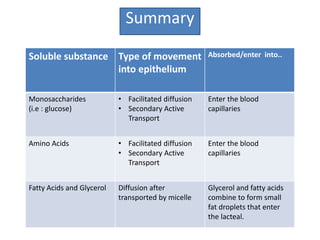 Summary
Soluble substance Type of movement
into epithelium
Absorbed/enter into..
Monosaccharides
(i.e : glucose)
• Facilitated diffusion
• Secondary Active
Transport
Enter the blood
capillaries
Amino Acids • Facilitated diffusion
• Secondary Active
Transport
Enter the blood
capillaries
Fatty Acids and Glycerol Diffusion after
transported by micelle
Glycerol and fatty acids
combine to form small
fat droplets that enter
the lacteal.
 