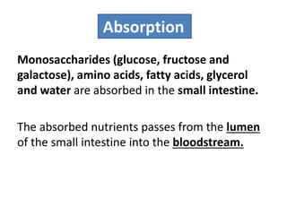 Absorption
Monosaccharides (glucose, fructose and
galactose), amino acids, fatty acids, glycerol
and water are absorbed in the small intestine.
The absorbed nutrients passes from the lumen
of the small intestine into the bloodstream.
 