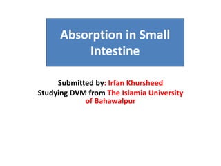 Absorption in Small
Intestine
Submitted by: Irfan Khursheed
Studying DVM from The Islamia University
of Bahawalpur
 