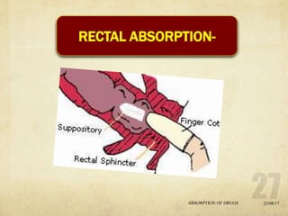 Rectisol Absorption System Absorption of drugs | PPTX