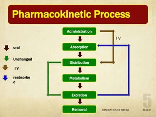 Absorption of drugs | PPTX