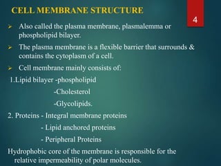 CELL MEMBRANE STRUCTURE
 Also called the plasma membrane, plasmalemma or
phospholipid bilayer.
 The plasma membrane is a flexible barrier that surrounds &
contains the cytoplasm of a cell.
 Cell membrane mainly consists of:
1.Lipid bilayer -phospholipid
-Cholesterol
-Glycolipids.
2. Proteins - Integral membrane proteins
- Lipid anchored proteins
- Peripheral Proteins
Hydrophobic core of the membrane is responsible for the
relative impermeability of polar molecules.
4
 