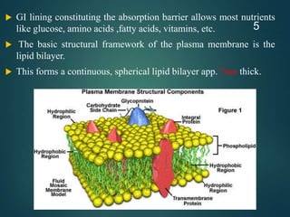  GI lining constituting the absorption barrier allows most nutrients
like glucose, amino acids ,fatty acids, vitamins, etc.
 The basic structural framework of the plasma membrane is the
lipid bilayer.
 This forms a continuous, spherical lipid bilayer app. 7nm thick.
5
 