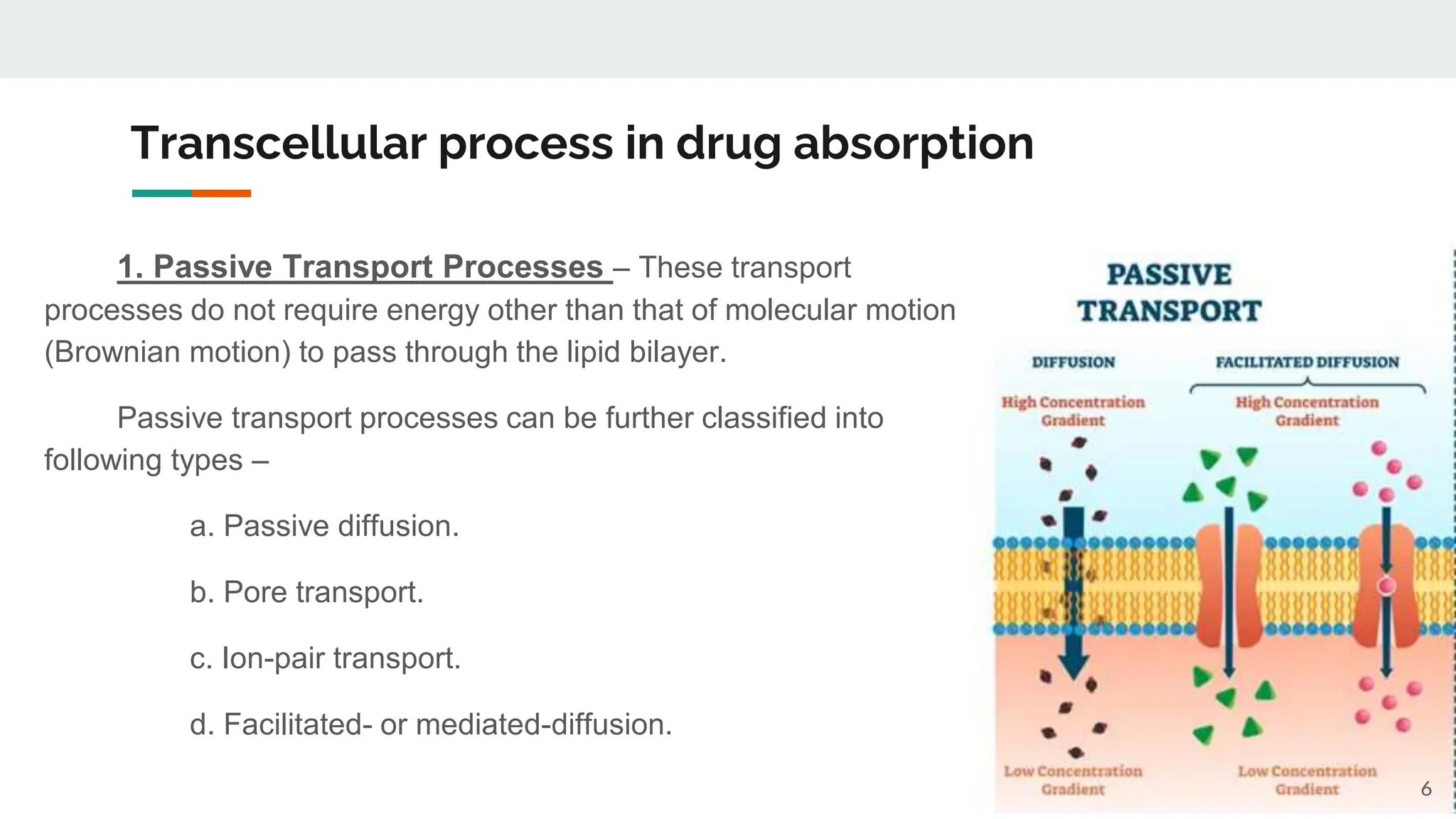 Absorption of Drugs- Biopharmaceutics.pptx