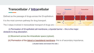 Absorption of Drugs- Biopharmaceutics.pptx