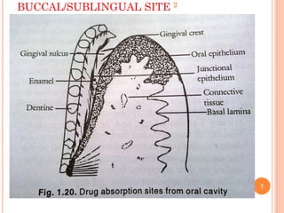 Sublingually Absorption of drugs from non per os extravascular administration | PDF